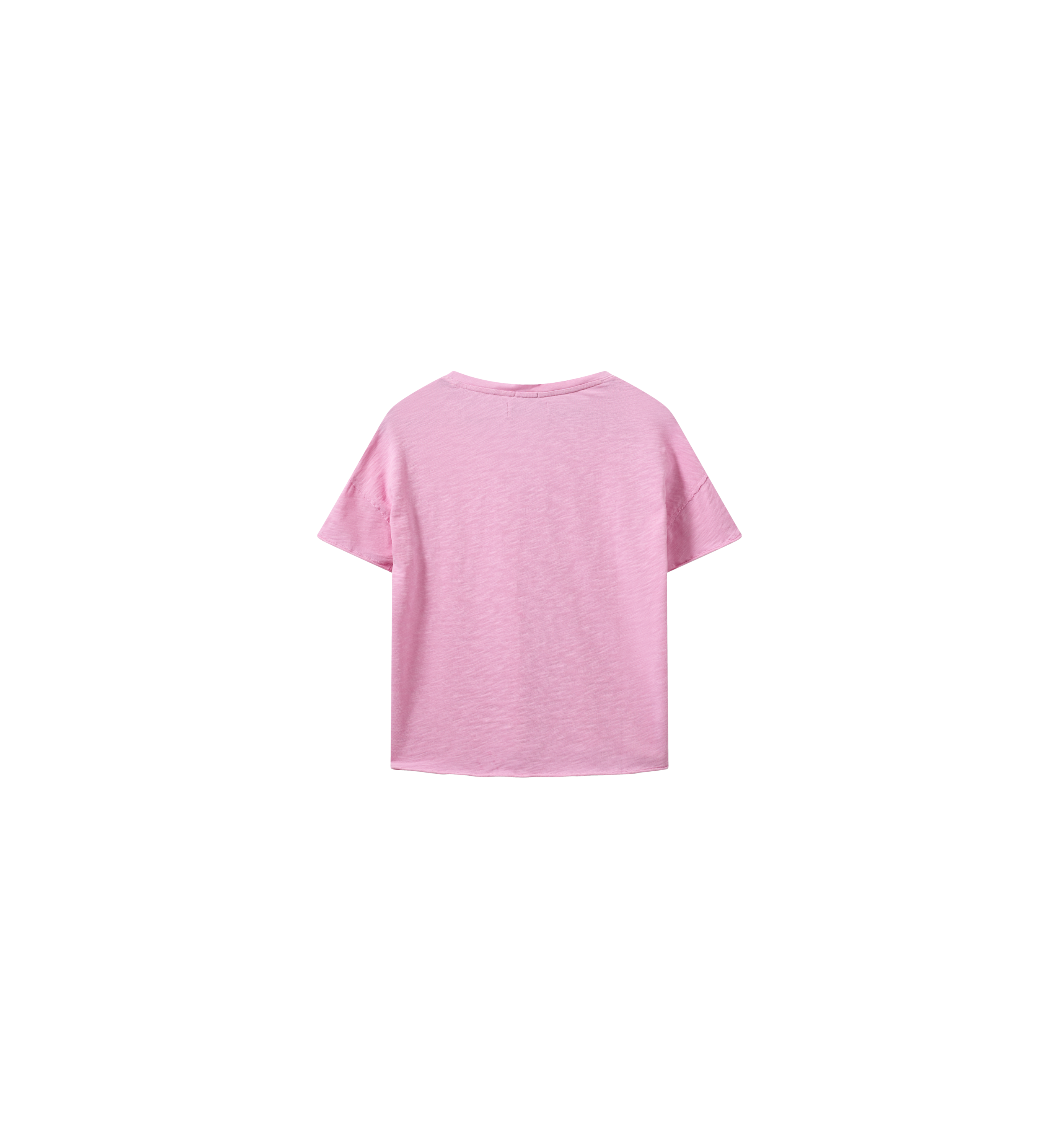 Packshot / Begonia Pink / Back